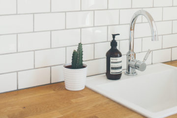 kitchen sink with a soap dispenser and plant